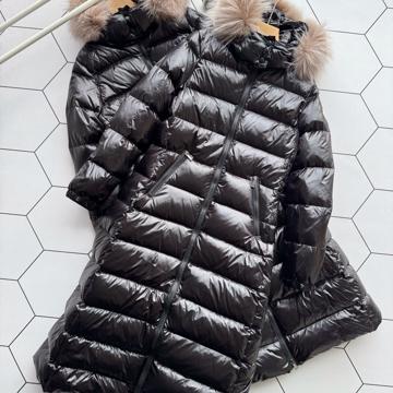 @Pradさんの投稿