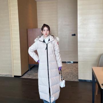 @Pradさんの投稿